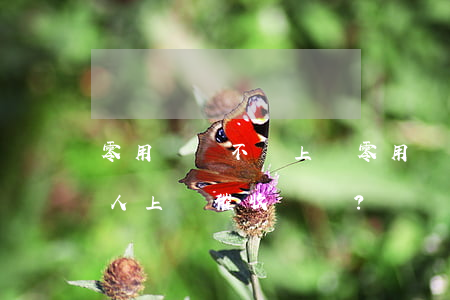 零用貸會不會上門，零用貸逾期未還，是否會有人上門催收？